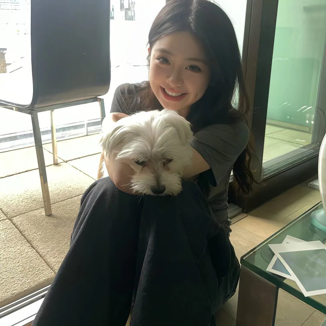 义犬奇行录